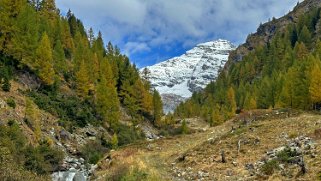 Lötschental Rando 2024