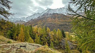 Lötschental Rando 2024