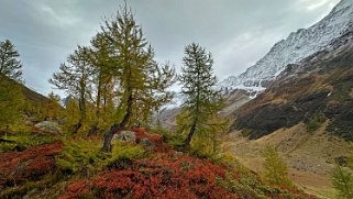 Lötschental Rando 2024