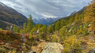 Lötschental Rando 2024