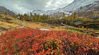 Lötschental Rando 2024