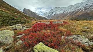 Lötschental Rando 2024