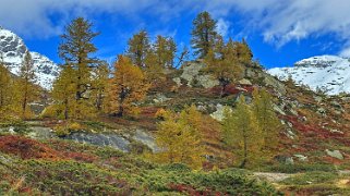 Lötschental Rando 2024