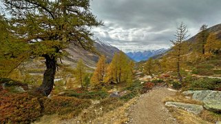 Lötschental Rando 2024