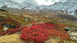 Lötschental Rando 2024