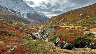 Lötschental Rando 2024