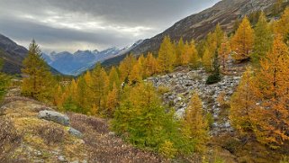 Lötschental Rando 2024