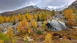 Lötschental Rando 2024