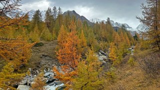 Lötschental Rando 2024