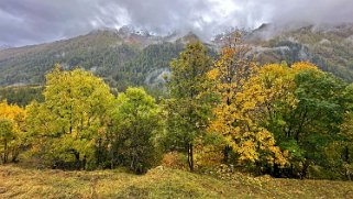 Lötschental Rando 2024