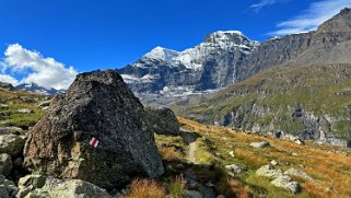 Combin de la Tsesette 4135 m - Tournelon Blanc 3700 m - Val de Bagne Rando 2024