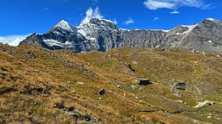 Combin de la Tsesette 4135 m - Tournelon Blanc 3700 m - Val de Bagne Rando 2024