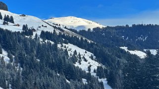 Pointe de Bellevue - Val de Morgins Rando 2024