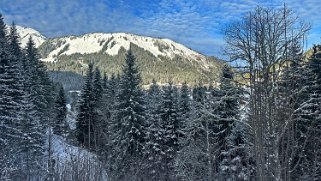 Val de Morgins Rando 2024