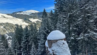 Pointe de Bellevue - Val de Morgins Rando 2024