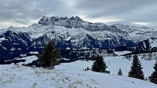 Dents du Midi - Val de Morgins Rando 2024