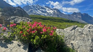 Oeschinensee 1580 m Rando 2024