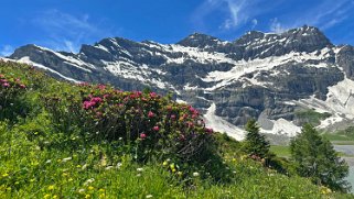 Tour Salière 3220 m Rando 2024