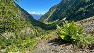 Vallon de Van Rando 2024