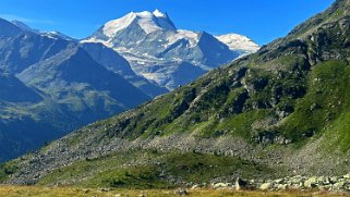 Weisshorn 4505 m - Turtmanntal Rando 2024