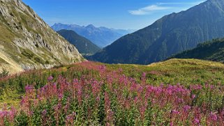 Les Harbagères Rando 2024