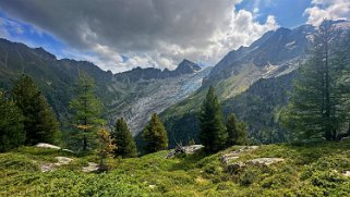 Glacier du Trient Rando 2024