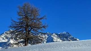 Bavon- Val d'Entremont Rando 2024