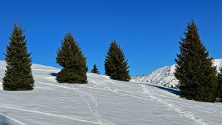 Bavon- Val d'Entremont Rando 2024