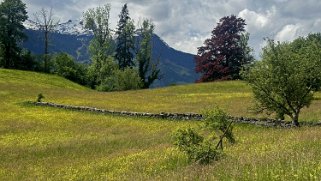 Änge - Walensee Rando 2024