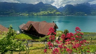 Schilt - Walensee Rando 2024