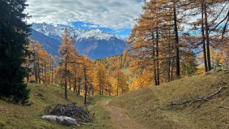 Col des Planches - La Crevasse null