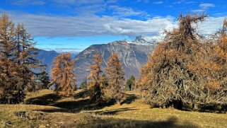 Col des Planches - La Crevasse null