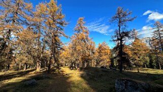 Col des Planches - La Crevasse null