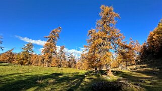 Col des Planches - La Crevasse null