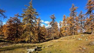 Col des Planches - La Crevasse null