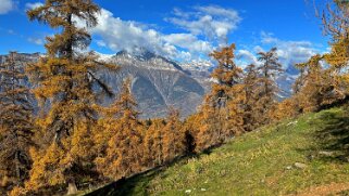 2025 Col des Planches