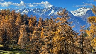 Col des Planches - La Crevasse null