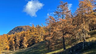 Col des Planches - La Crevasse null