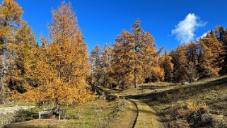 Col des Planches - La Crevasse null