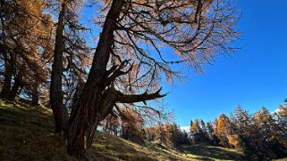 Col des Planches - La Crevasse null