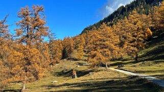 Col des Planches - La Crevasse null