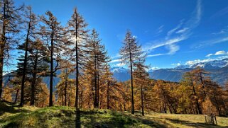 Col des Planches - La Crevasse null
