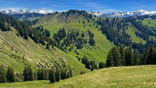 Tour de la Dent de Combette Rando 2025