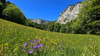 Creux du Van Rando 2025