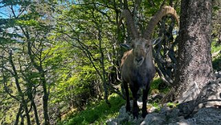 Creux du Van Rando 2025