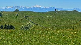 Creux du Van Rando 2025