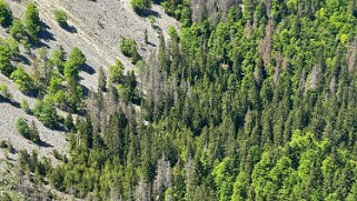 Creux du Van Rando 2025