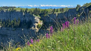 Creux du Van Rando 2025