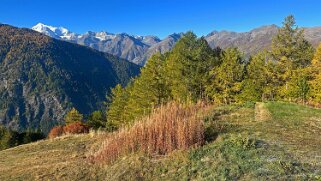 Gspon - Visperterminen null