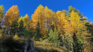 Gspon - Visperterminen null